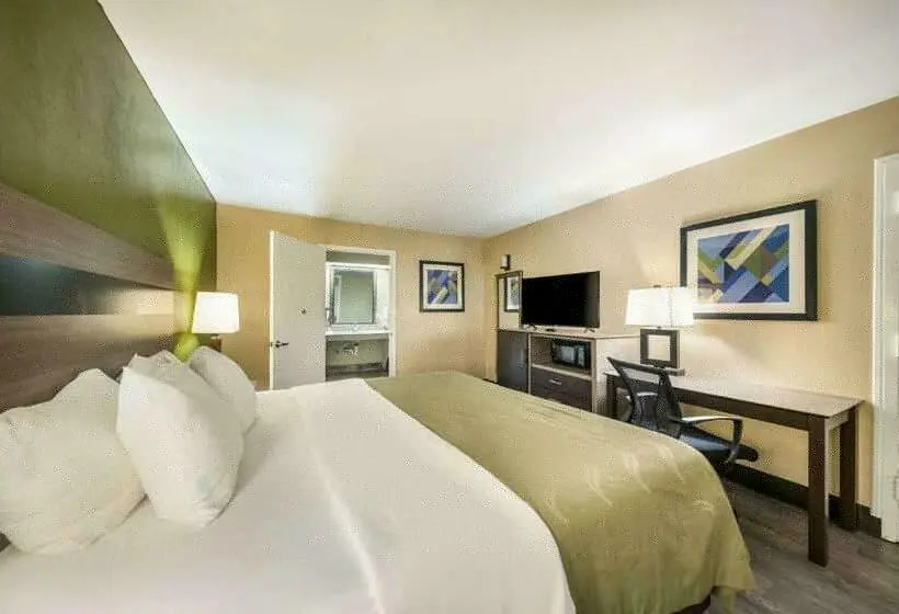 Standard-huone King-vuode, Quality Inn & Suites Garland East Dallas