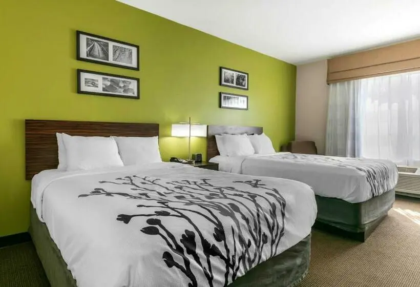 スタンダードルーム, Sleep Inn & Suites