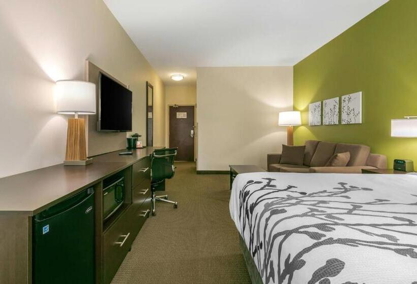 带大床的套房, Sleep Inn & Suites