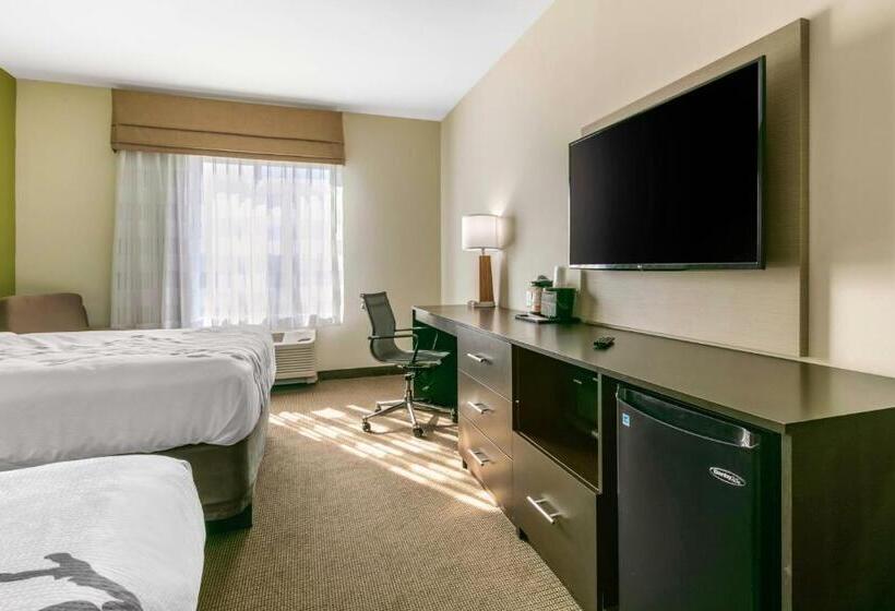 适合残疾人使用的标准间, Sleep Inn & Suites
