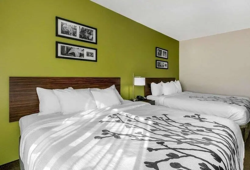 スタンダードルーム, Sleep Inn & Suites