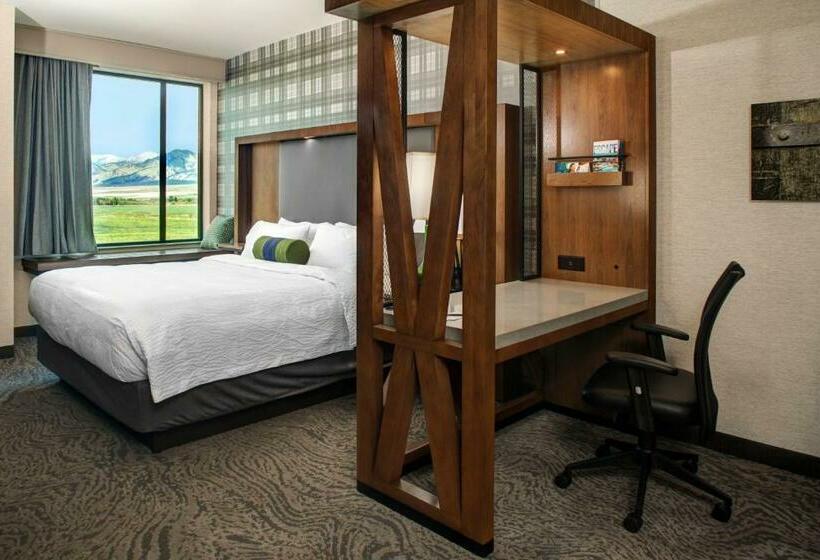 سوئیت با تخت بزرگ, Springhill Suites By Marriott Bozeman