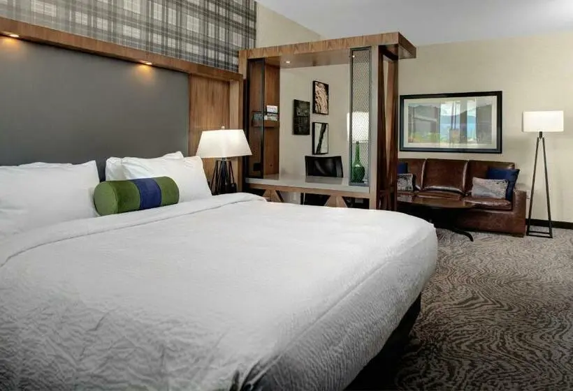 Sviitti King-vuode, Springhill Suites By Marriott Bozeman