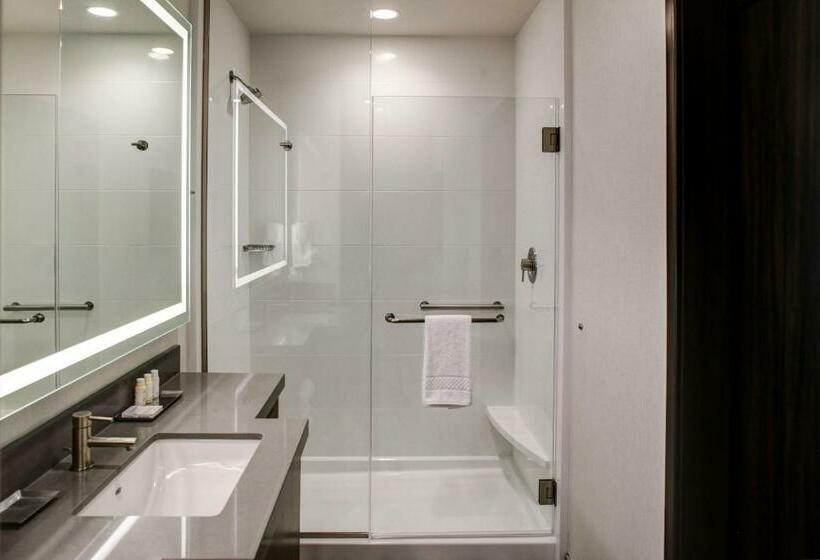 سوئیت با تخت بزرگ, Springhill Suites By Marriott Bozeman