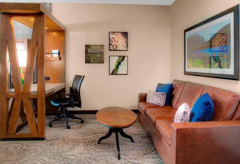스위트 킹사이즈 침대, Springhill Suites By Marriott Bozeman