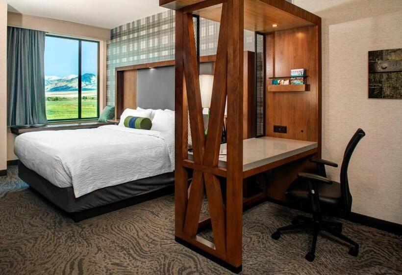 سوئیت با تخت بزرگ, Springhill Suites By Marriott Bozeman