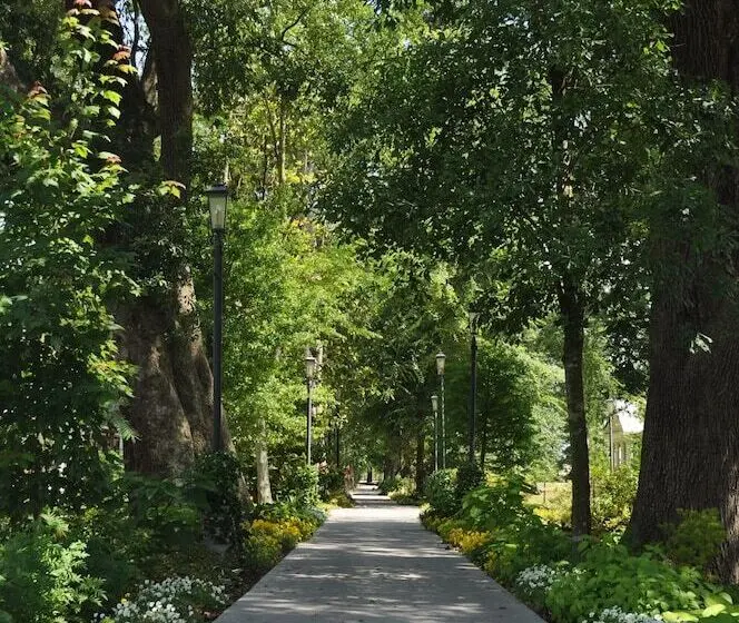 デラックススイート, The Inn At Houmas House Estate