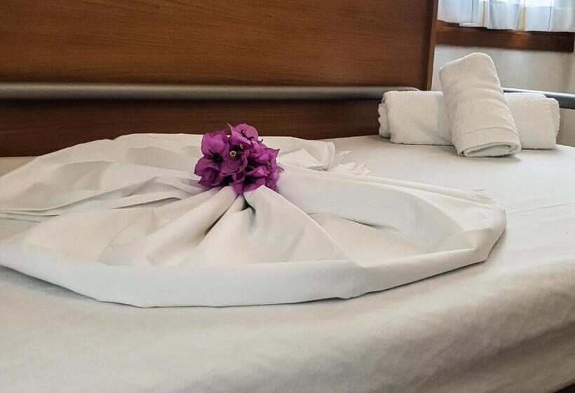 غرفة قياسية فردية, Residence Hotel Maxi