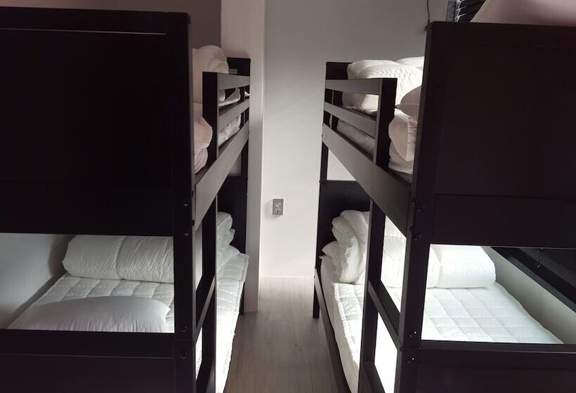 تختخواب در اتاق مشترک, Amazon Guesthouse   Hostel