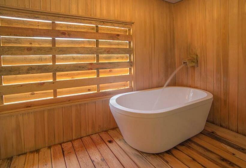 스탠다드 룸, Kusatsu Onsen Eidaya