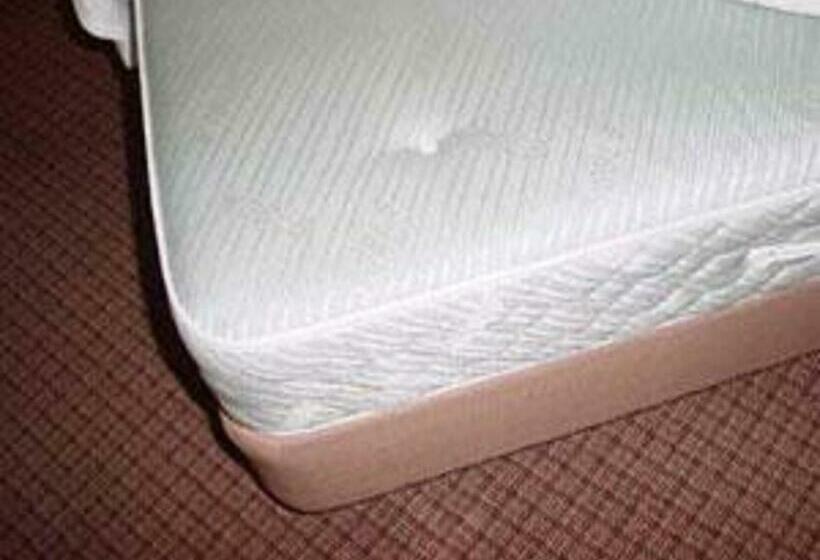 غرفة أساسية سرير مزدوج, Niigata City