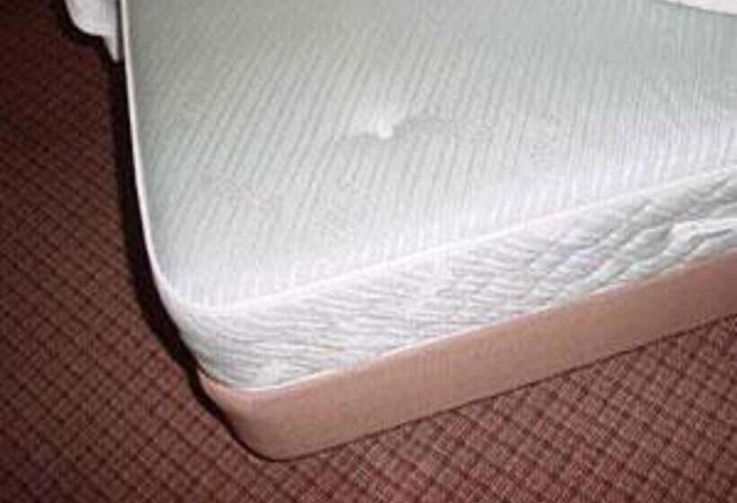 غرفة قياسية, Niigata City