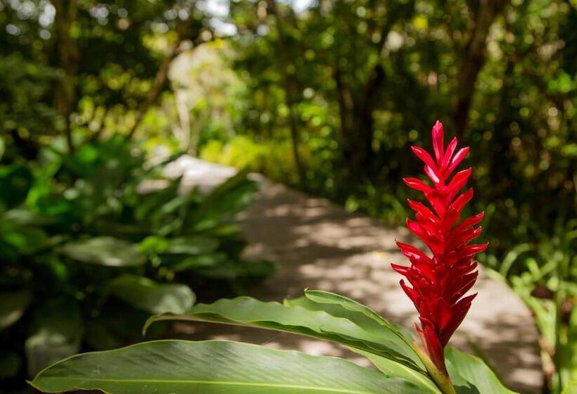 침실 2개 빌라, Pousada Tutabel