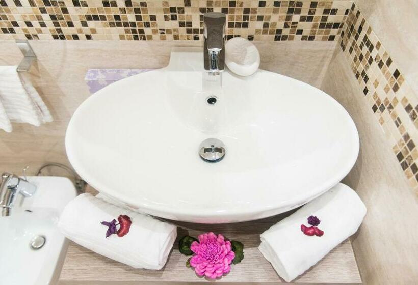 Classic Kamer, Domus Trevi