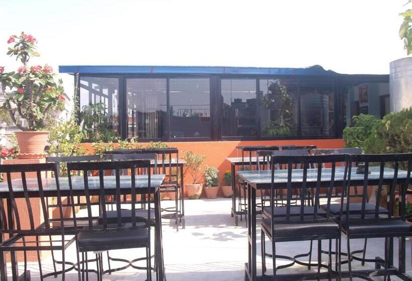 اتاق استاندارد یک نفره, Bag Packer's Lodge