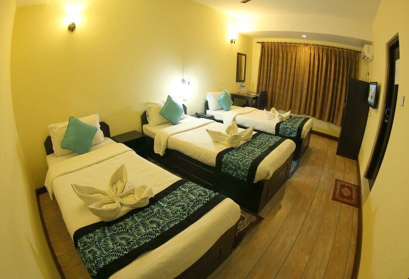 اتاق استاندارد, Bag Packer's Lodge