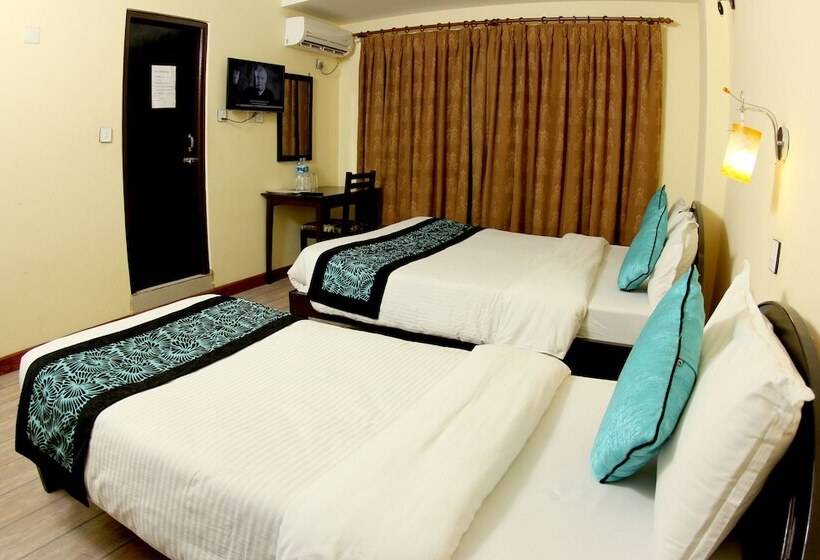 اتاق لوکس, Bag Packer's Lodge