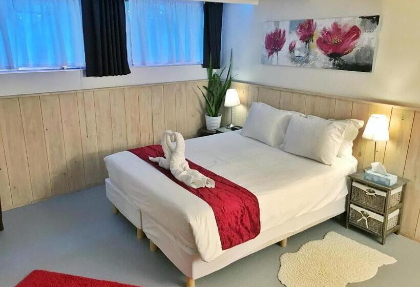 استودیوی لوکس, Amsterdam Home