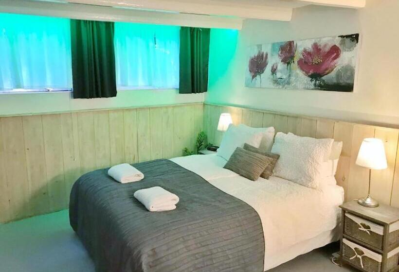 استودیوی لوکس, Amsterdam Home