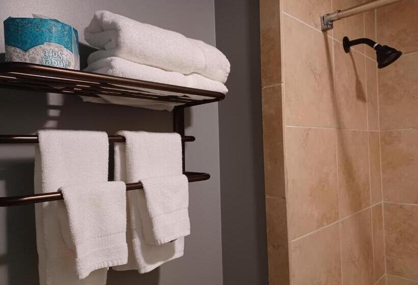 デラックスルーム, Natchez Manor Bed & Breakfast