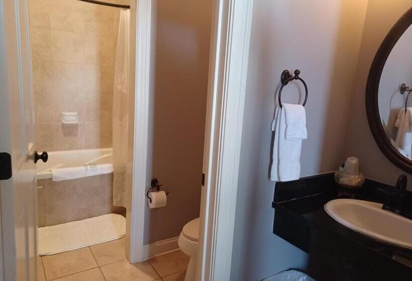 デラックススタジオ, Natchez Manor Bed & Breakfast