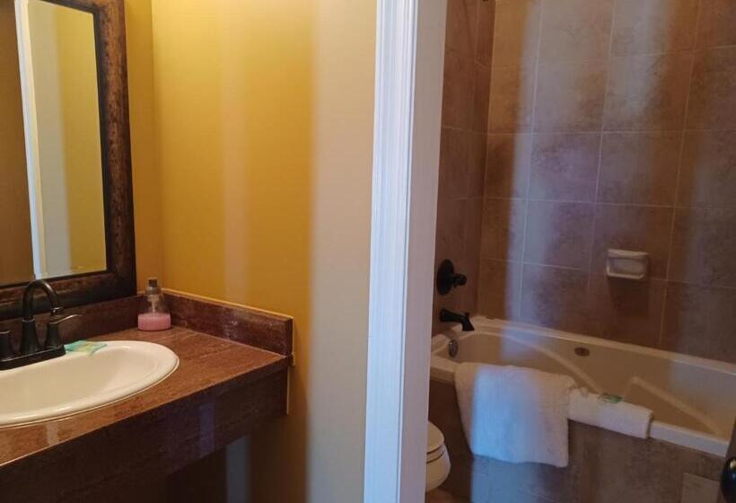 キングサイズベッドのデラックススイート, Natchez Manor Bed & Breakfast