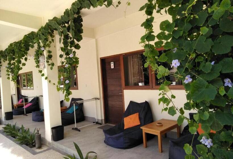 高级大房间, Trawangan Nirvana