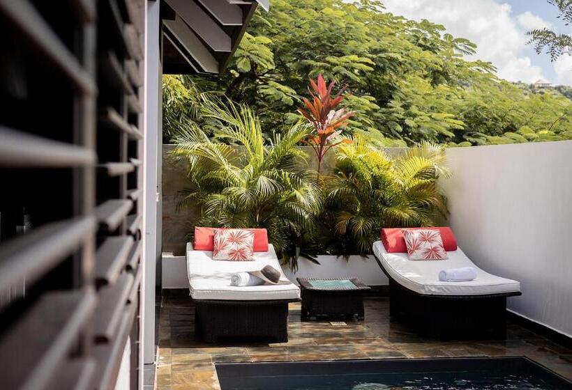 ویلای یک اتاق خوابه با استخر شنا, Domaine De La Palmeraie