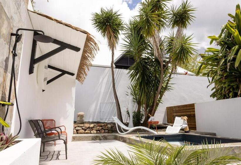 ویلای سوپریور 1 خوابه, Domaine De La Palmeraie