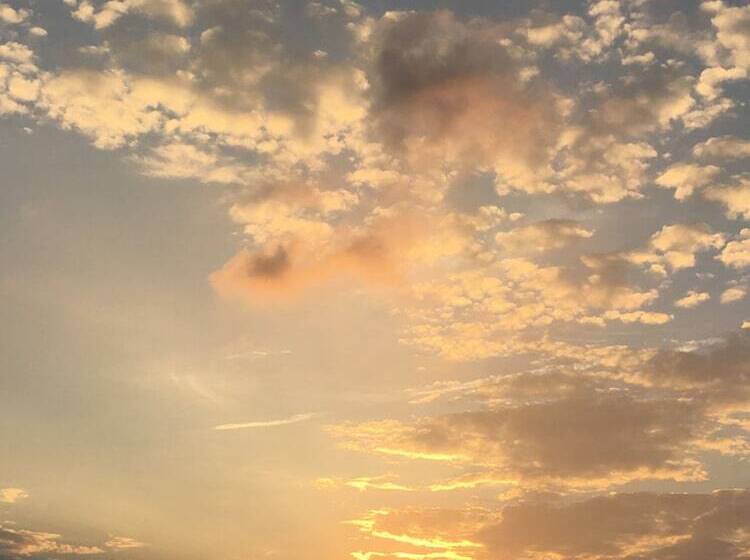 اتاق خانوادگی, Sunshine B&b