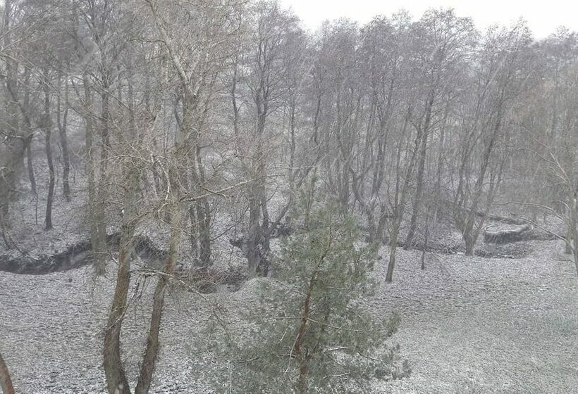 חדר דלוקס, Fairplayce