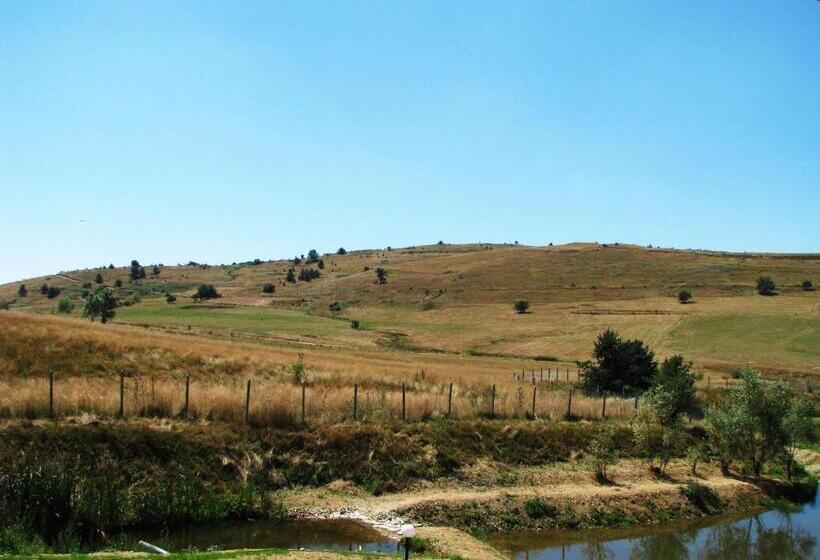 스탠다드 스튜디오 (전망), Park Hotel Eagle Stone