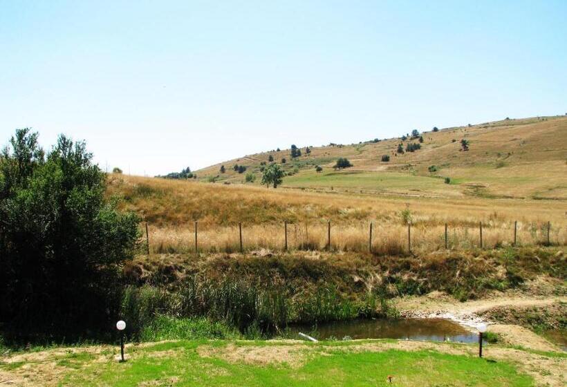 스탠다드 스튜디오 (전망), Park Hotel Eagle Stone