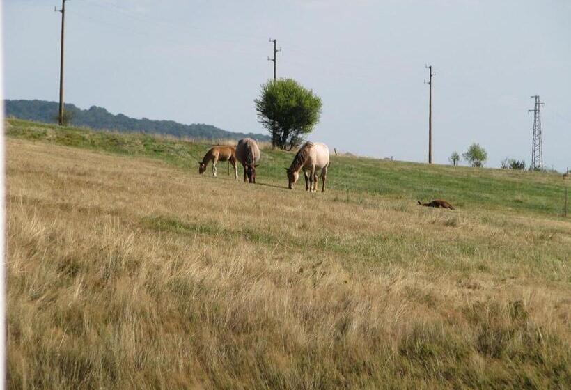 1 Bedroom Apartment Lake View, Park Hotel Eagle Stone