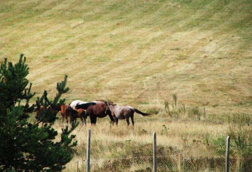 1 Bedroom Apartment Lake View, Park Hotel Eagle Stone