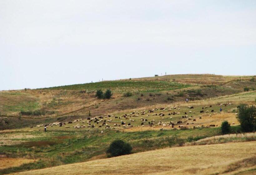 스탠다드 룸, Park Hotel Eagle Stone