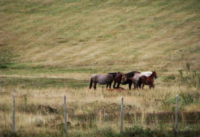 스탠다드 룸 호수 전망, Park Hotel Eagle Stone