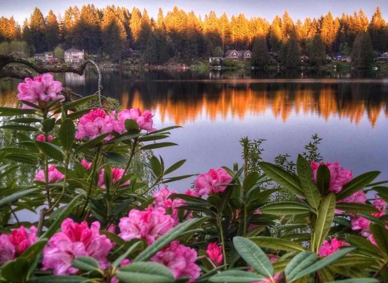 豪华套房, Cottage Lake Bed And Breakfast