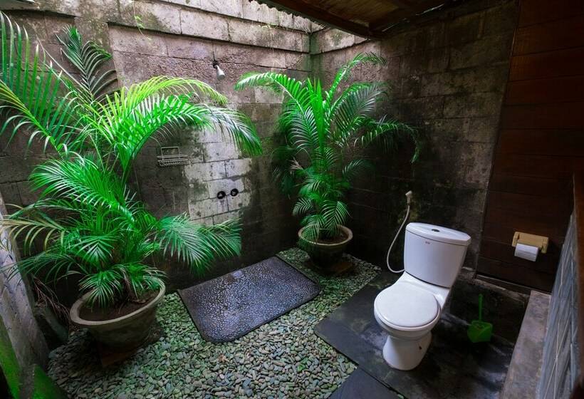 Rahat Oda, Easy Surf Dacha