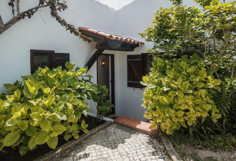 اتاق استاندارد, Surf Vilas By Laneez Ericeira