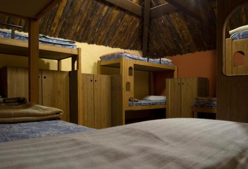 تختخواب در اتاق مشترک, Albergue Refugio Sargantana