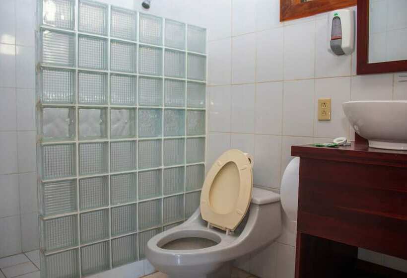 کابین, Coconut Tree West Bay