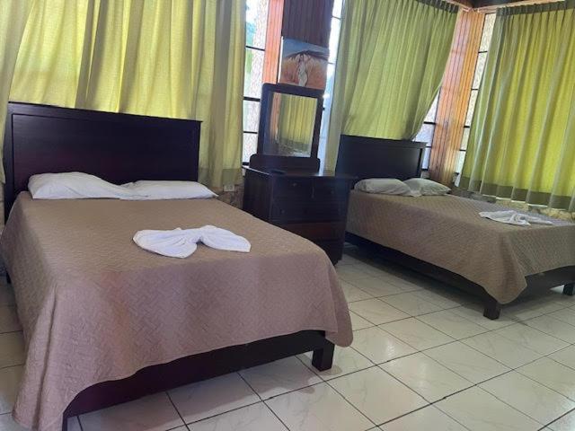 سوئیت با بالکن, Coconut Tree West Bay