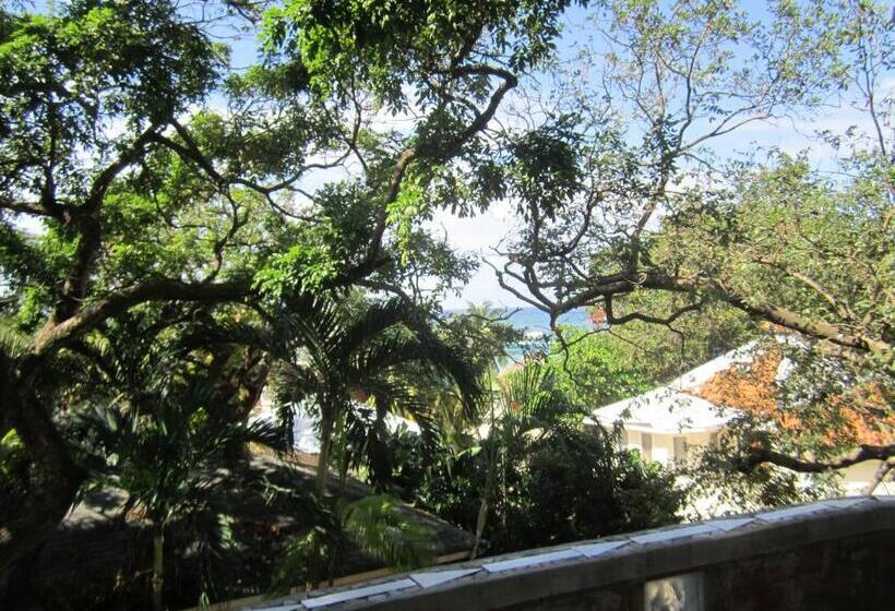 سوئیت با بالکن, Coconut Tree West Bay