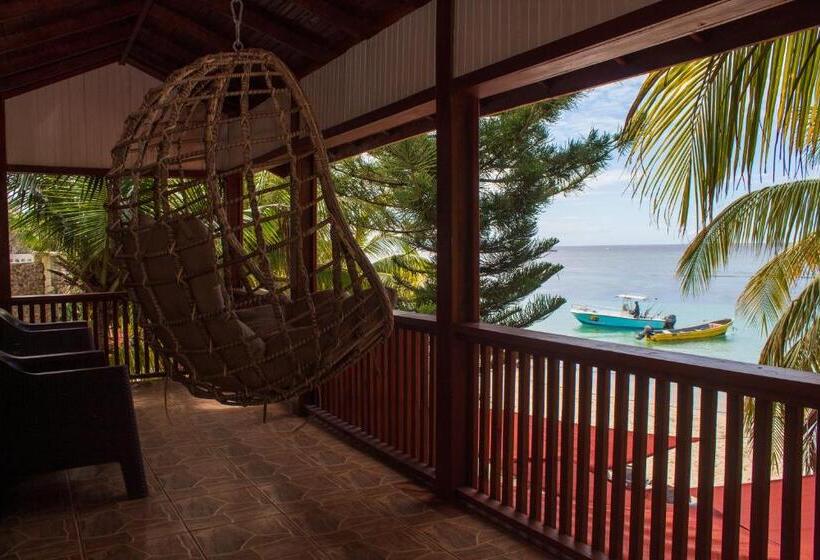 بانگلوی استاندارد با چشم‌انداز دریا, Coconut Tree West Bay