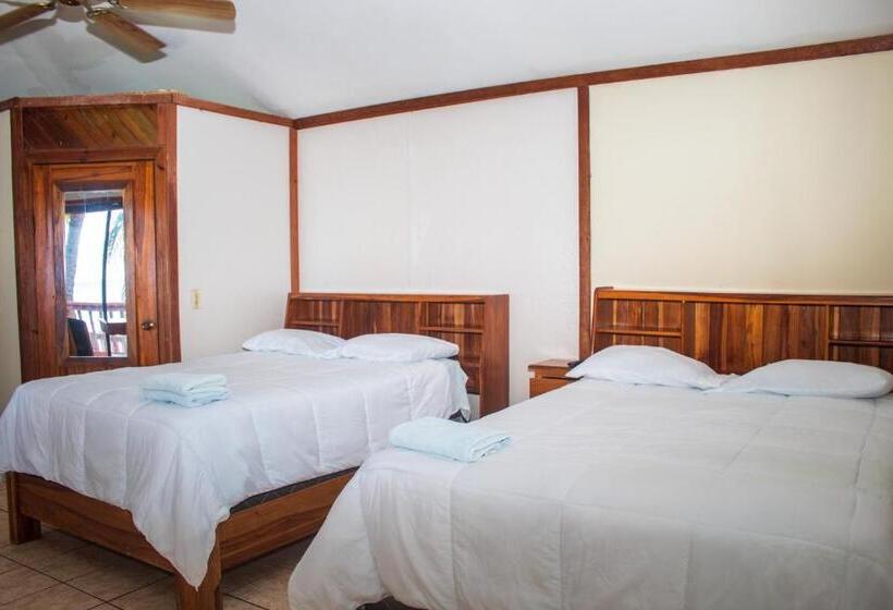 بانگلوی استاندارد با چشمانداز دریا, Coconut Tree West Bay