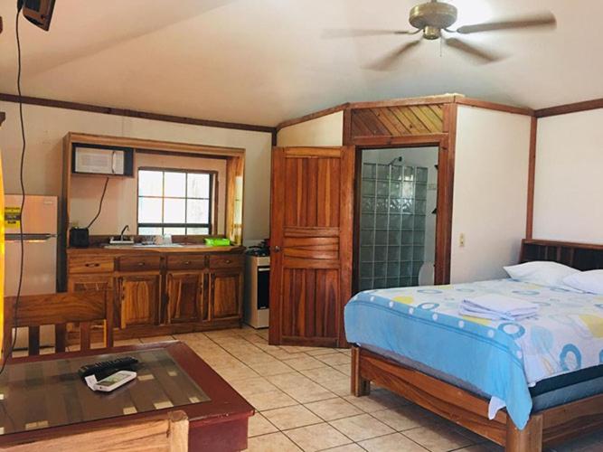 بانگلوی استاندارد با چشمانداز دریا, Coconut Tree West Bay