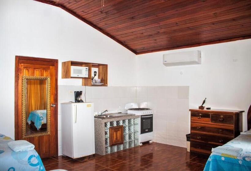 بانگلوی استاندارد با چشمانداز دریا, Coconut Tree West Bay