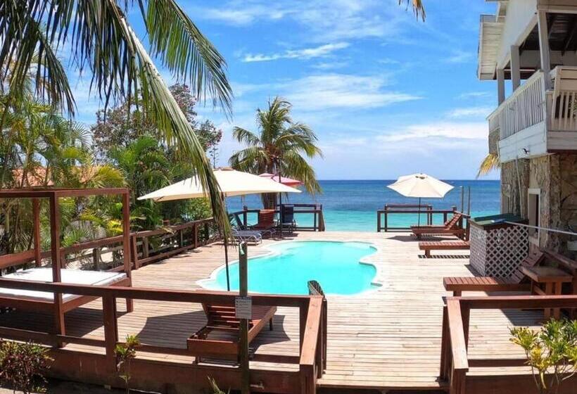 بانگلوی استاندارد با چشمانداز دریا, Coconut Tree West Bay