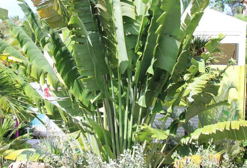 سوئیت با وان آب گرم, Majesty Palm